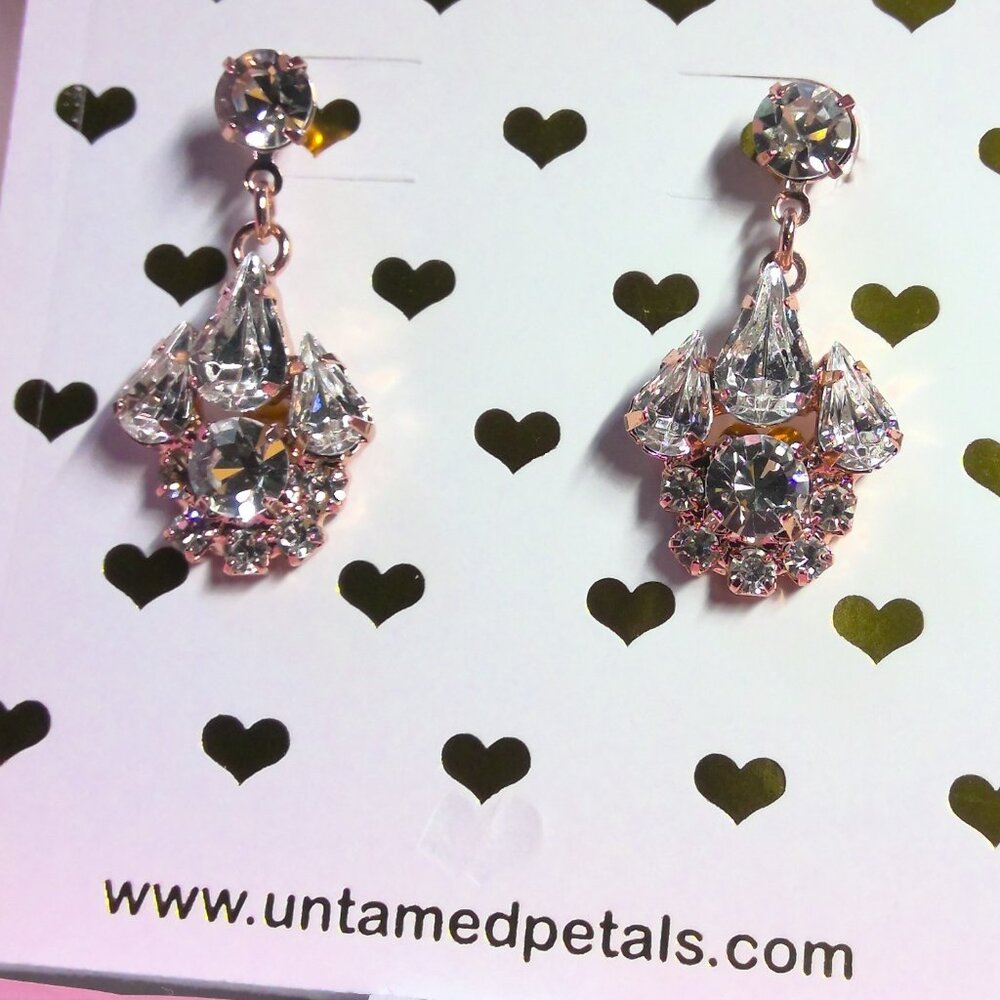 UNTAMED PETALS BY AMANDA JUDGE Silver Crystal Earrings